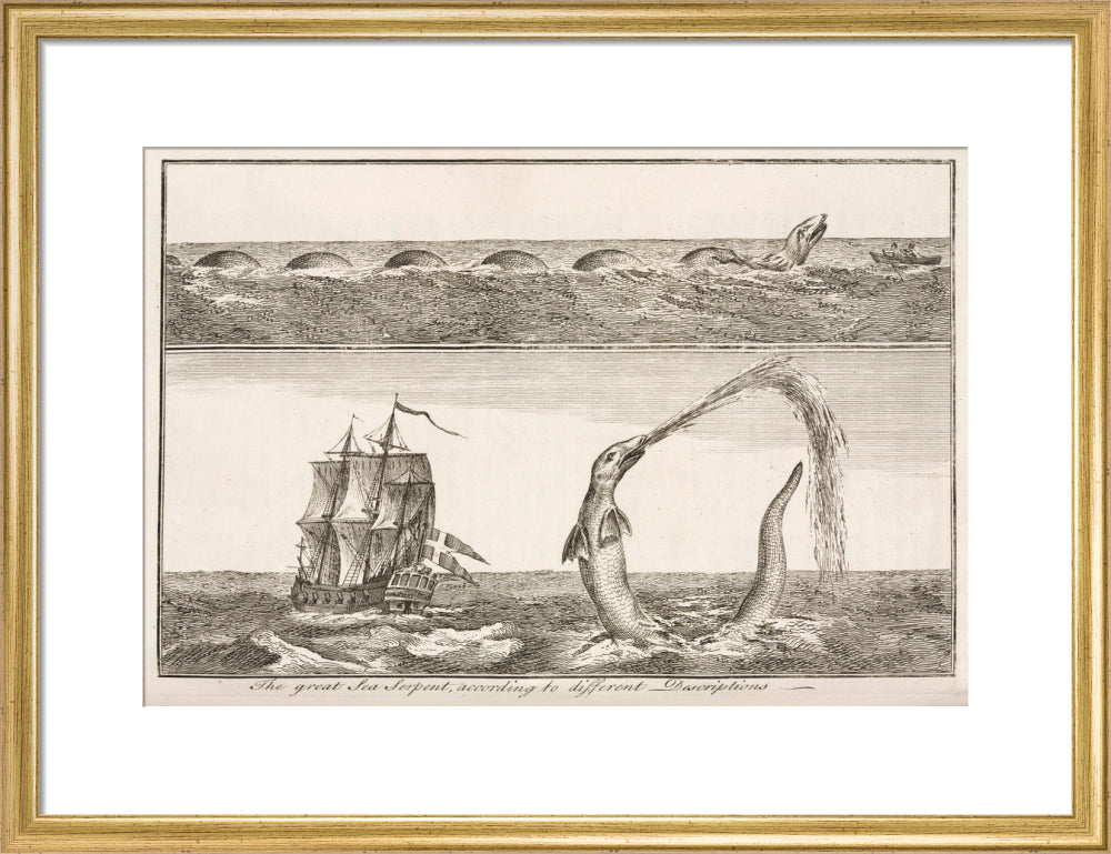 'The great Sea Serpent, according to different Descriptions', 1755. art print medium gold Art Print - Science Museum Shop