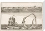 'The great Sea Serpent, according to different Descriptions', 1755. stretched canvas medium none Art Print - Science Museum Shop