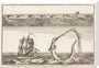 'The great Sea Serpent, according to different Descriptions', 1755. stretched canvas large none Art Print - Science Museum Shop