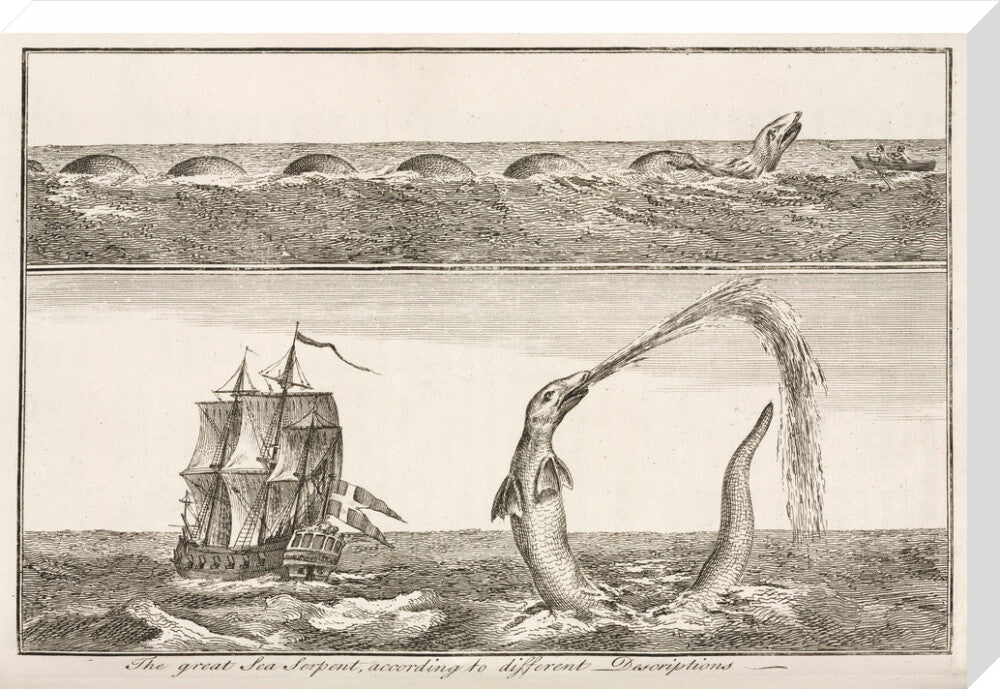 'The great Sea Serpent, according to different Descriptions', 1755. stretched canvas large none Art Print - Science Museum Shop