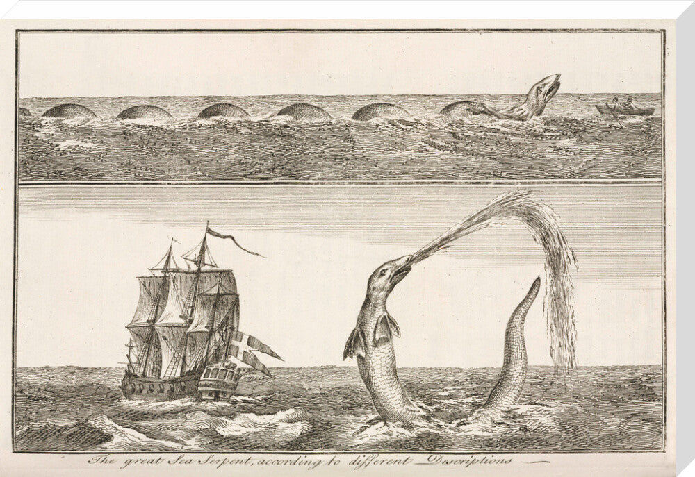 'The great Sea Serpent, according to different Descriptions', 1755. stretched canvas extra large none Art Print - Science Museum Shop