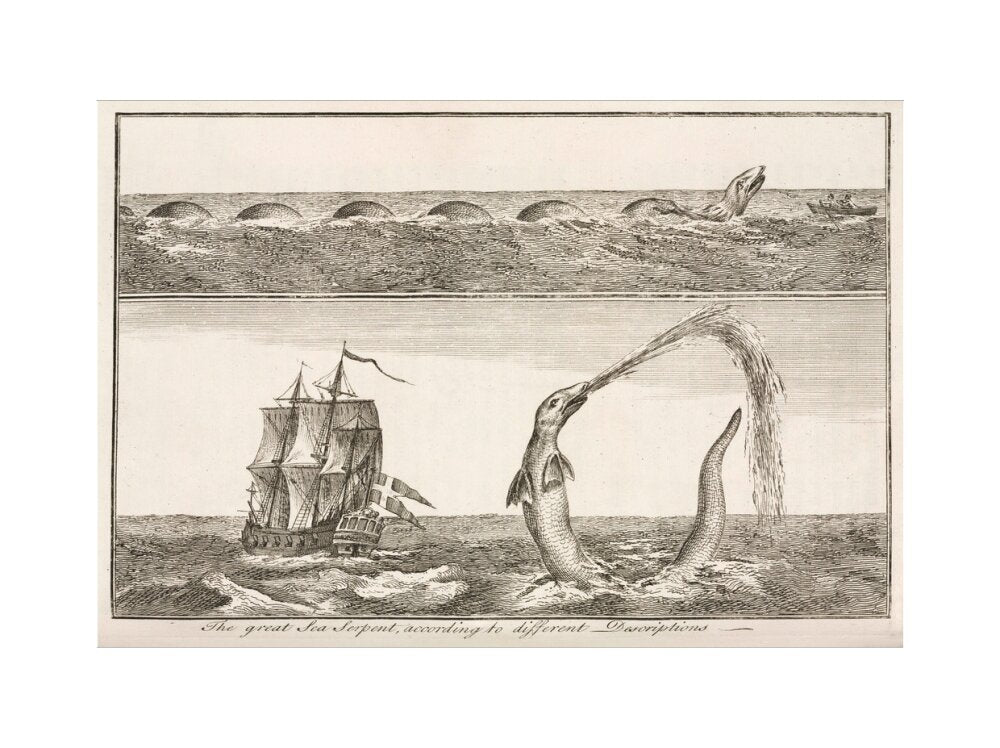 'The great Sea Serpent, according to different Descriptions', 1755. art print extra large none Art Print - Science Museum Shop