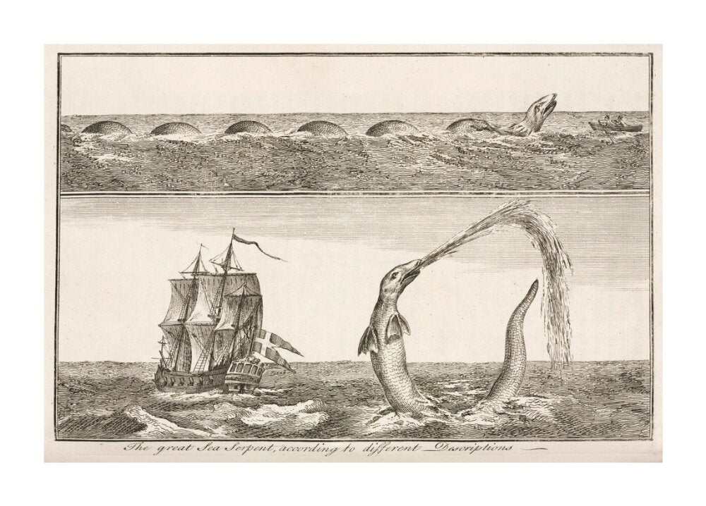 'The great Sea Serpent, according to different Descriptions', 1755. unstretched canvas extra large none Art Print - Science Museum Shop