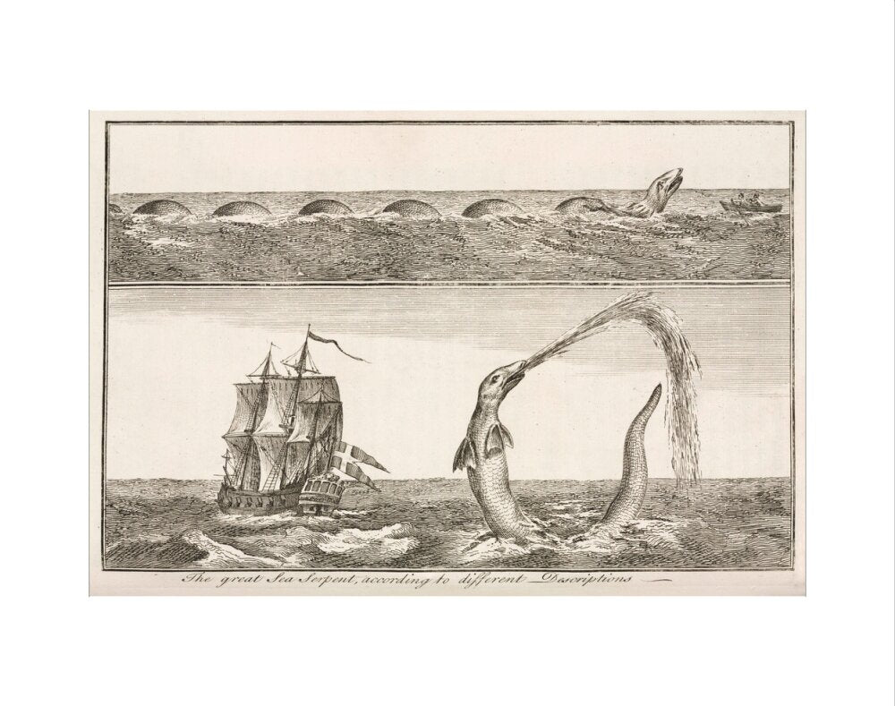 'The great Sea Serpent, according to different Descriptions', 1755. art print extra small none Art Print - Science Museum Shop
