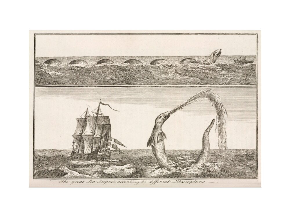 'The great Sea Serpent, according to different Descriptions', 1755. art print small none Art Print - Science Museum Shop