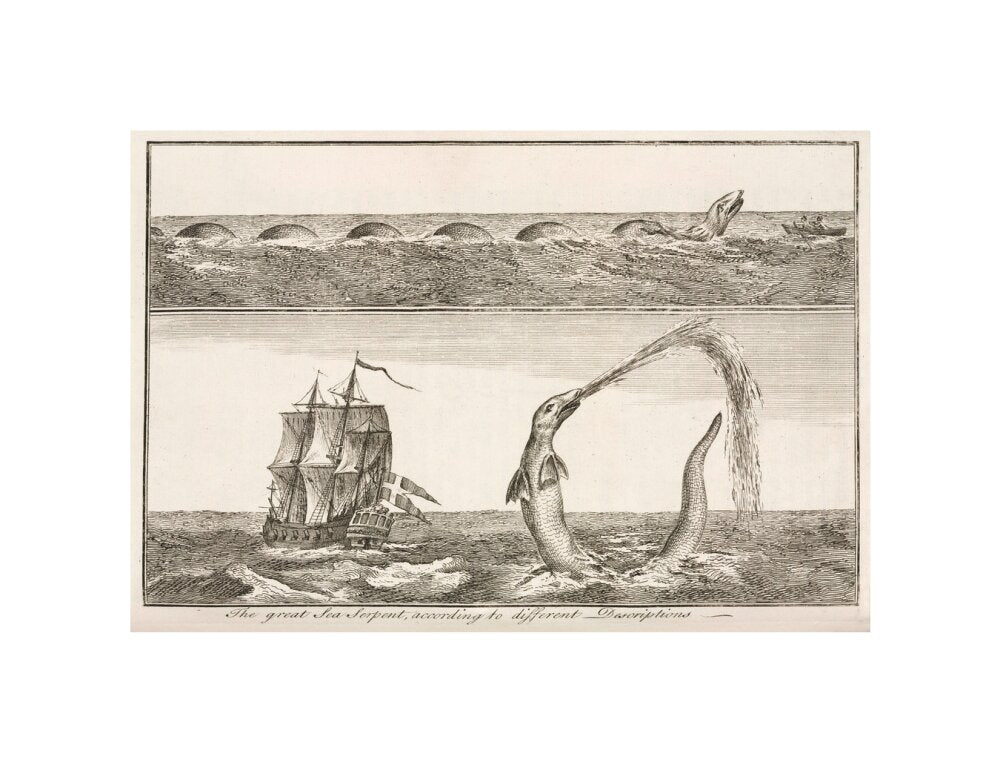 'The great Sea Serpent, according to different Descriptions', 1755. unstretched canvas small none Art Print - Science Museum Shop