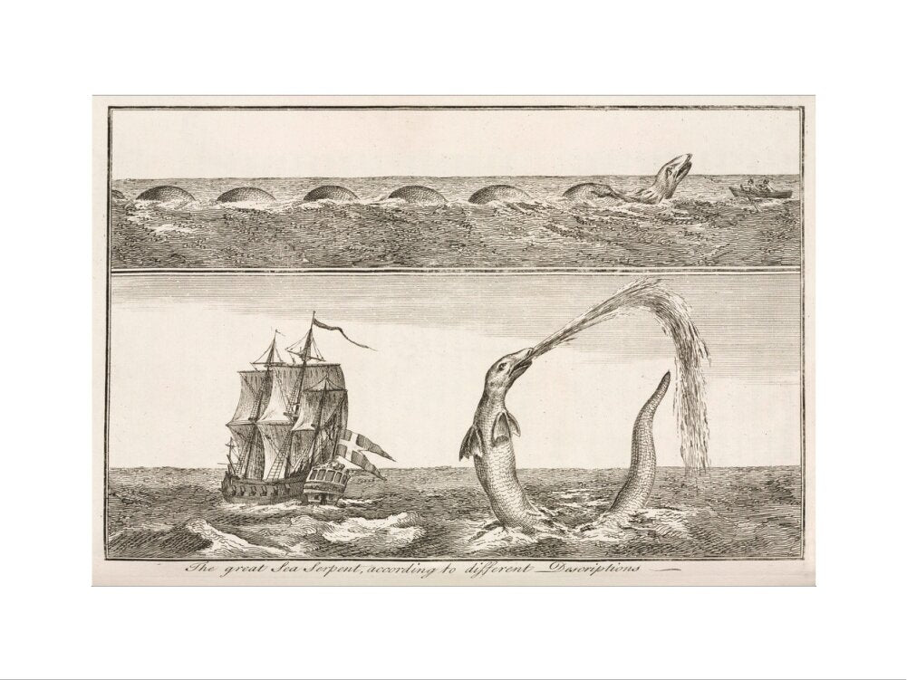 'The great Sea Serpent, according to different Descriptions', 1755. art print medium none Art Print - Science Museum Shop