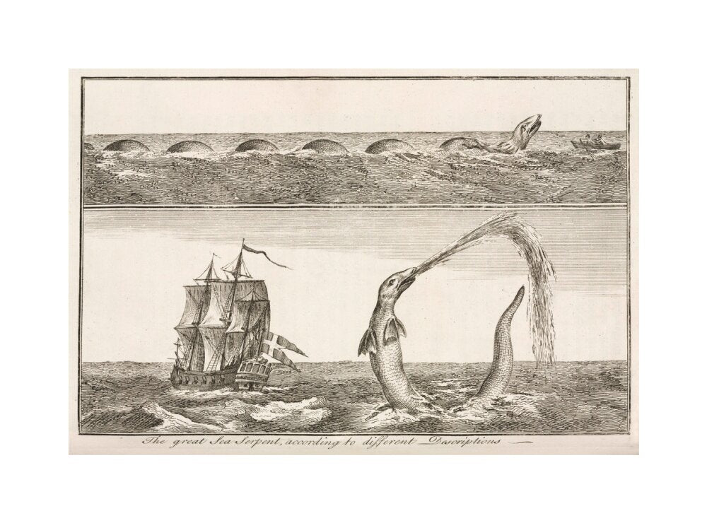 'The great Sea Serpent, according to different Descriptions', 1755. unstretched canvas medium none Art Print - Science Museum Shop