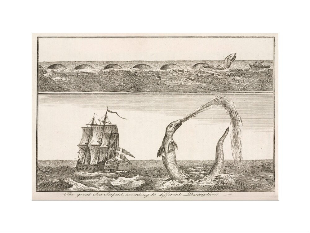 'The great Sea Serpent, according to different Descriptions', 1755. art print large none Art Print - Science Museum Shop