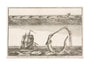 'The great Sea Serpent, according to different Descriptions', 1755. unstretched canvas large none Art Print - Science Museum Shop