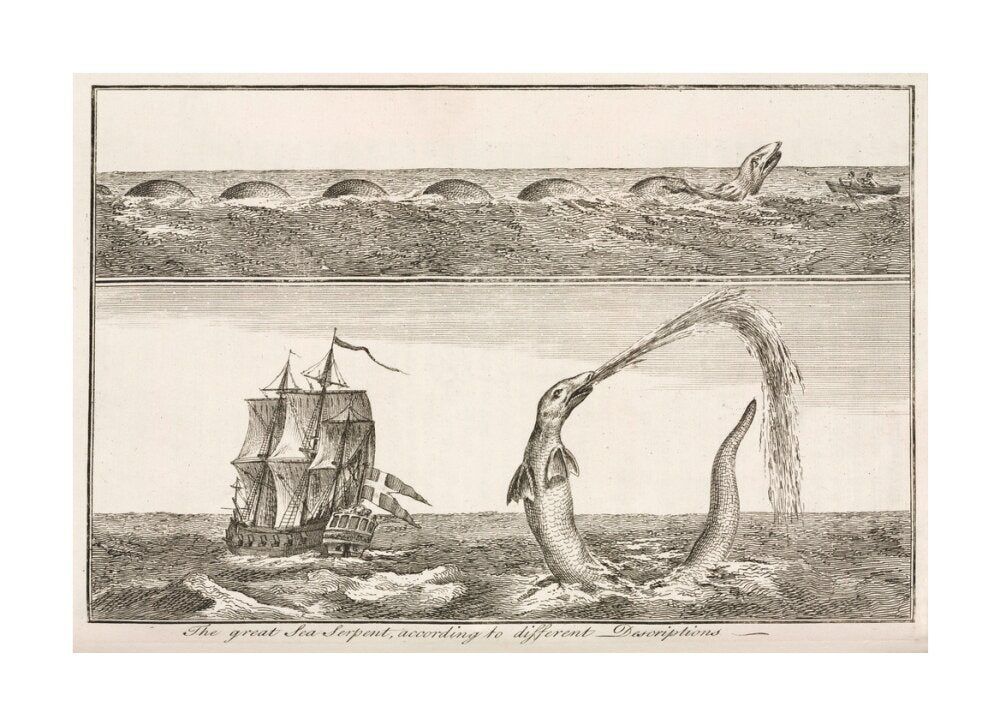 'The great Sea Serpent, according to different Descriptions', 1755. unstretched canvas large none Art Print - Science Museum Shop