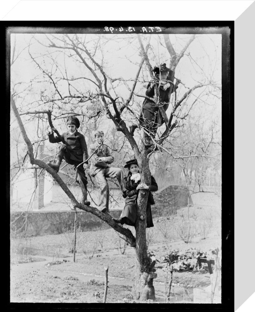 'Children In Tree', 1898. stretched canvas small none Art Print - Science Museum Shop
