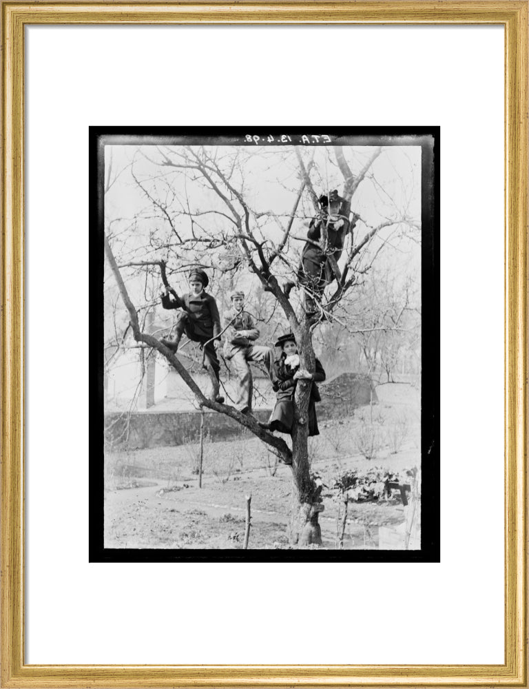 'Children In Tree', 1898. art print medium gold Art Print - Science Museum Shop
