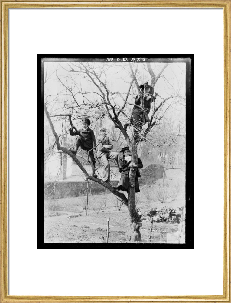 'Children In Tree', 1898. art print large gold Art Print - Science Museum Shop