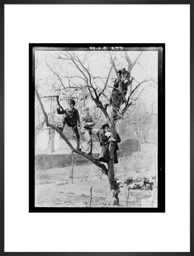 'Children In Tree', 1898. art print extra large black Art Print - Science Museum Shop
