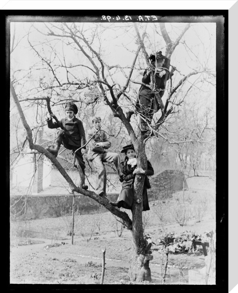 'Children In Tree', 1898. stretched canvas large none Art Print - Science Museum Shop