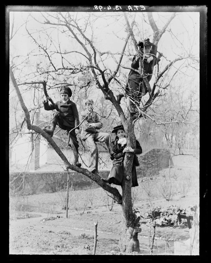 'Children In Tree', 1898. Art Print - Science Museum Shop