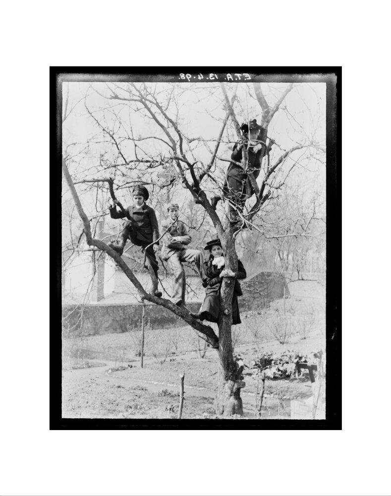 'Children In Tree', 1898. art print extra small none Art Print - Science Museum Shop