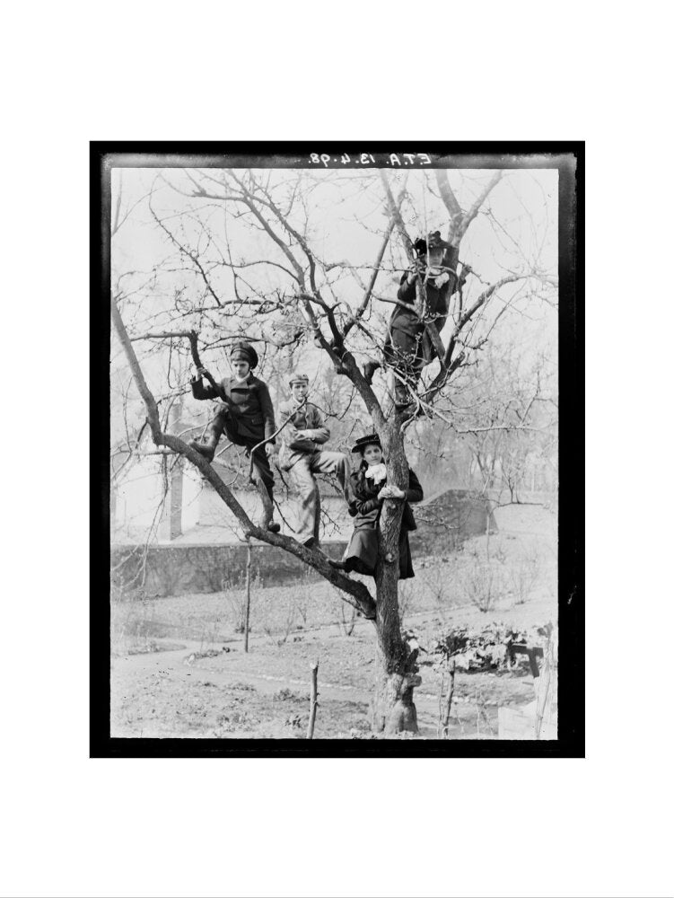 'Children In Tree', 1898. art print medium none Art Print - Science Museum Shop