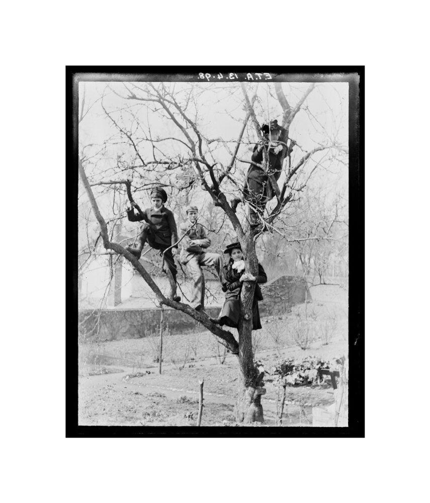 'Children In Tree', 1898. unstretched canvas small none Art Print - Science Museum Shop