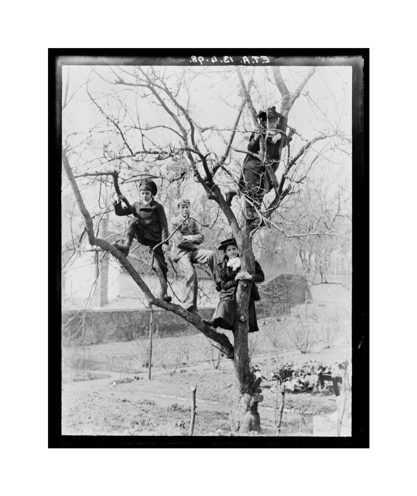 'Children In Tree', 1898. unstretched canvas medium none Art Print - Science Museum Shop