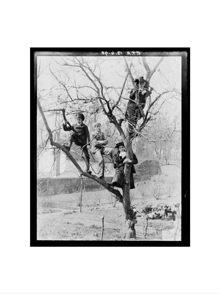 'Children In Tree', 1898. art print extra large none Art Print - Science Museum Shop