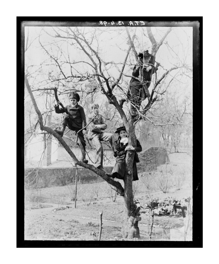 'Children In Tree', 1898. unstretched canvas extra large none Art Print - Science Museum Shop
