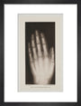 Hand of an 8 year-old girl, 1896. art print small black Art Print - Science Museum Shop