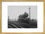 King George V' steam locomotive, 1934. art print medium gold Art Print - Science Museum Shop