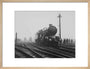 King George V' steam locomotive, 1934. art print medium natural Art Print - Science Museum Shop
