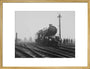 King George V' steam locomotive, 1934. art print large gold Art Print - Science Museum Shop