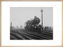 King George V' steam locomotive, 1934. art print large natural Art Print - Science Museum Shop