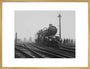 King George V' steam locomotive, 1934. art print extra large gold Art Print - Science Museum Shop