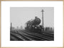 King George V' steam locomotive, 1934. art print extra large natural Art Print - Science Museum Shop