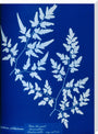 Cyanotype of a fern from the Chatsworth Conservatory, 1853. stretched canvas extra large none Art Print - Science Museum Shop