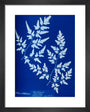 Cyanotype of a fern from the Chatsworth Conservatory, 1853. art print extra small black Art Print - Science Museum Shop