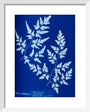 Cyanotype of a fern from the Chatsworth Conservatory, 1853. art print extra small white Art Print - Science Museum Shop