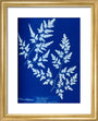 Cyanotype of a fern from the Chatsworth Conservatory, 1853. art print extra small gold Art Print - Science Museum Shop