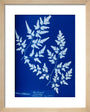 Cyanotype of a fern from the Chatsworth Conservatory, 1853. art print extra small natural Art Print - Science Museum Shop