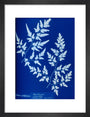 Cyanotype of a fern from the Chatsworth Conservatory, 1853. art print small black Art Print - Science Museum Shop