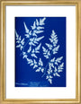 Cyanotype of a fern from the Chatsworth Conservatory, 1853. art print small gold Art Print - Science Museum Shop