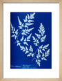 Cyanotype of a fern from the Chatsworth Conservatory, 1853. art print small natural Art Print - Science Museum Shop