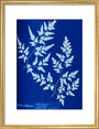 Cyanotype of a fern from the Chatsworth Conservatory, 1853. art print medium gold Art Print - Science Museum Shop