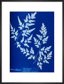 Cyanotype of a fern from the Chatsworth Conservatory, 1853. art print large black Art Print - Science Museum Shop