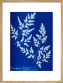 Cyanotype of a fern from the Chatsworth Conservatory, 1853. art print large gold Art Print - Science Museum Shop