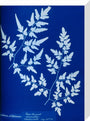 Cyanotype of a fern from the Chatsworth Conservatory, 1853. stretched canvas medium none Art Print - Science Museum Shop