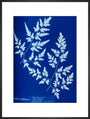 Cyanotype of a fern from the Chatsworth Conservatory, 1853. art print extra large black Art Print - Science Museum Shop