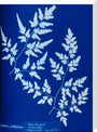 Cyanotype of a fern from the Chatsworth Conservatory, 1853. stretched canvas large none Art Print - Science Museum Shop