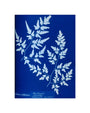 Cyanotype of a fern from the Chatsworth Conservatory, 1853. unstretched canvas small none Art Print - Science Museum Shop