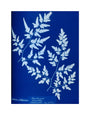 Cyanotype of a fern from the Chatsworth Conservatory, 1853. unstretched canvas medium none Art Print - Science Museum Shop